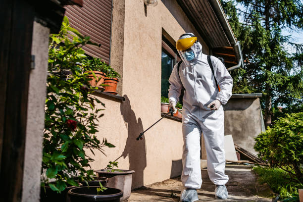 Best Pest Prevention Services  in Wenona, IL