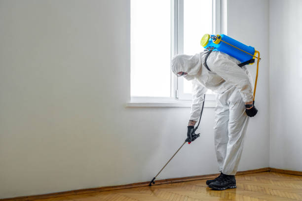 Best Rat Extermination Near Me  in Wenona, IL