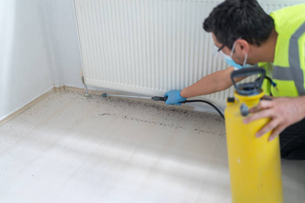 Best Commercial Pest Control Services  in Wenona, IL